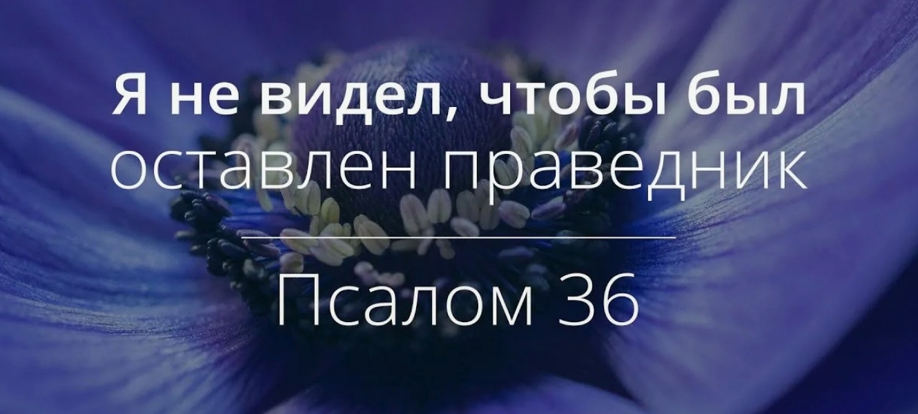Псалом 36 .. |БЕЛЫЙ СВЕТ0